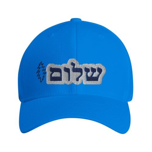 The Grateful Store-Shalom Bolt Flexfit Hat