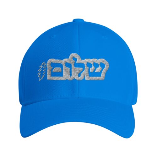The Grateful Store-Shalom Bolt Flexfit Hat