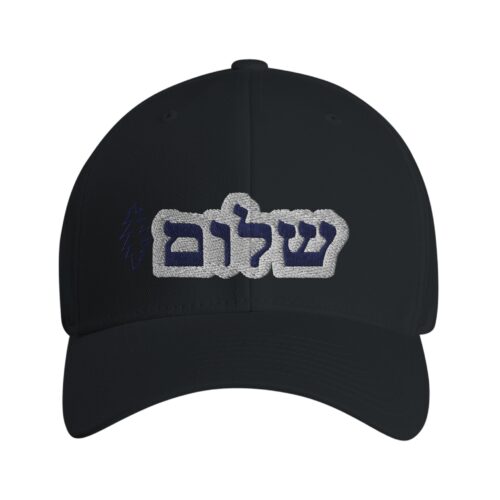 The Grateful Store-Shalom Bolt Flexfit Hat