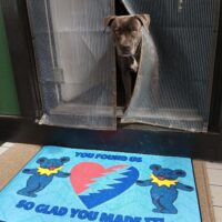 The Grateful Store-You Found Us Welcome Mat